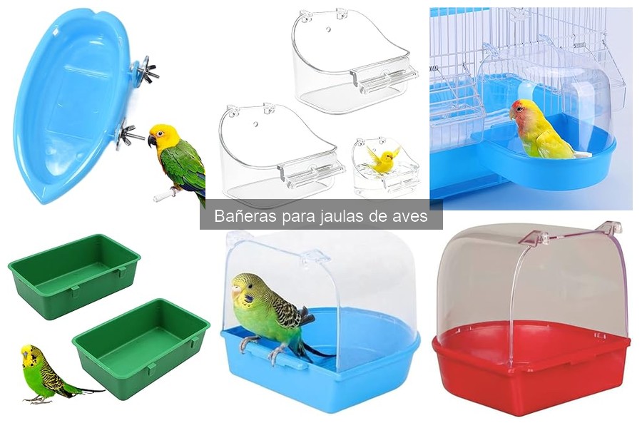 Comparativa: Bañeras Manuales vs. Automáticas para Aves