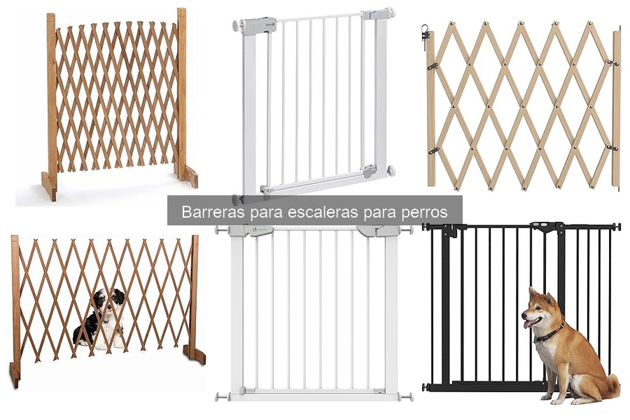 Comparativa: Barreras para escaleras vs puertas para perros