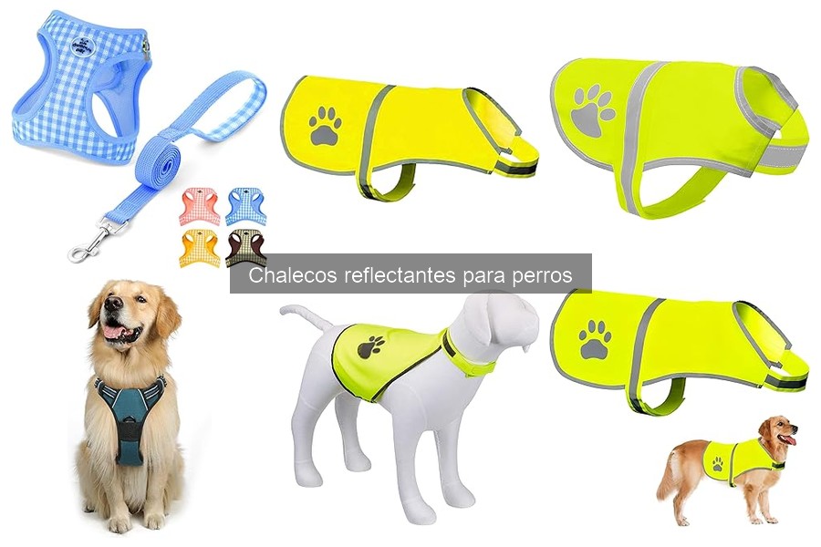 Comparativa: Chalecos Reflectantes vs. Collares Iluminados para Perros
