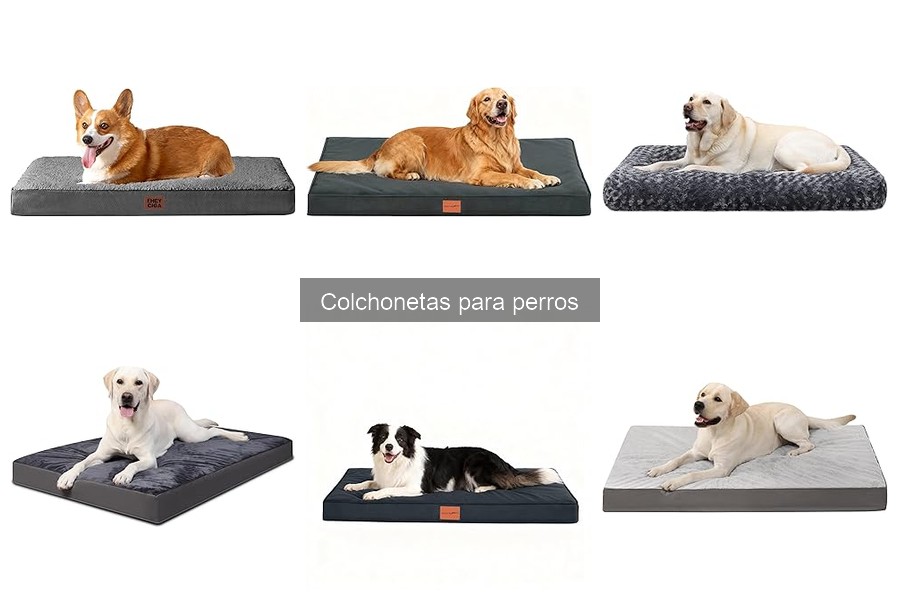 Comparativa Colchonetas vs Camas para Perros: ¿Cuál Elegir?