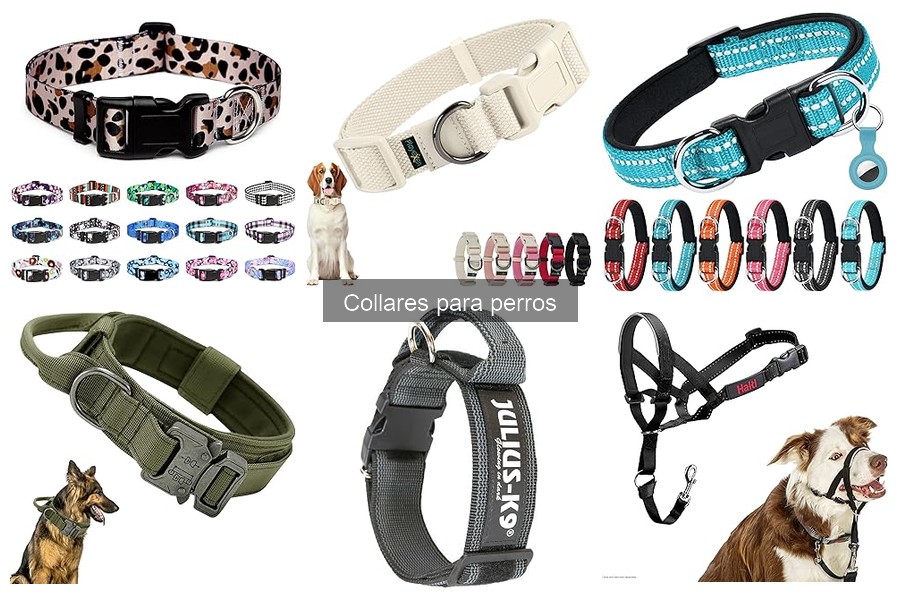 Comparativa: Collares de Cuero vs Nylon para Perros