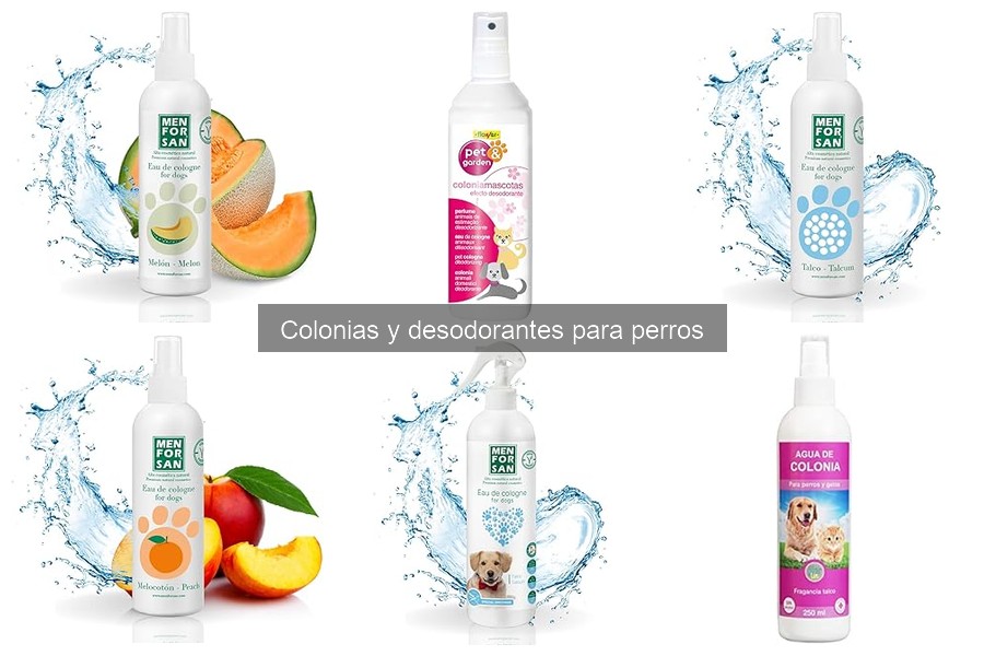 Comparativa: Colonias vs Desodorantes para Perros