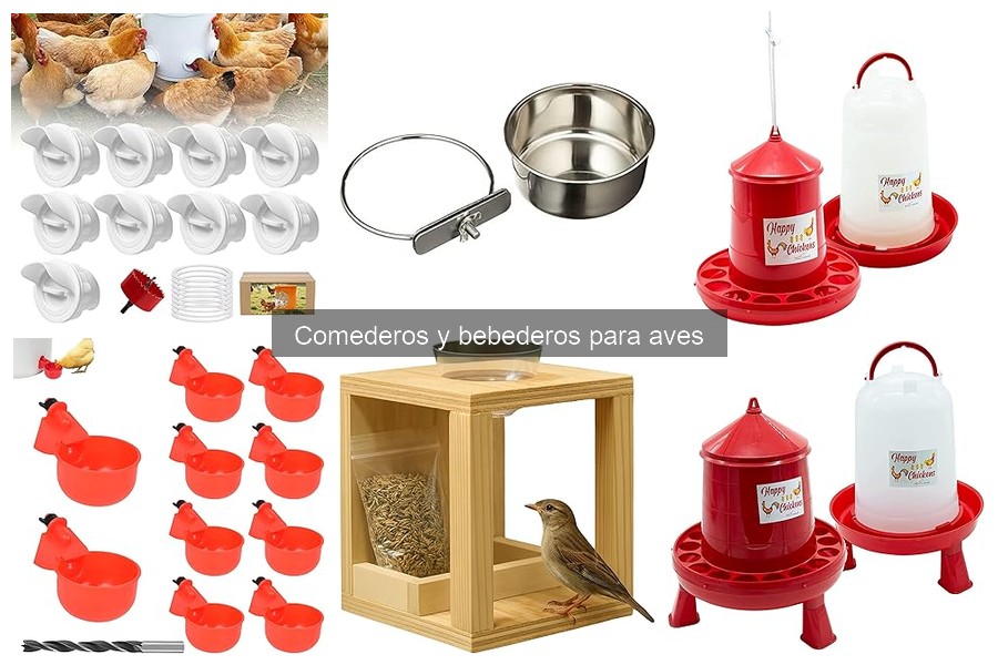 Comparativa: Comederos automáticos vs manuales para aves