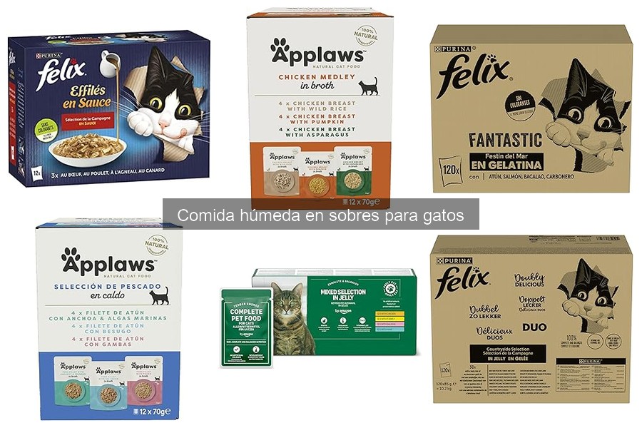 Comparativa: Comida Húmeda en Sobres vs. Dieta Cruda para Gatos