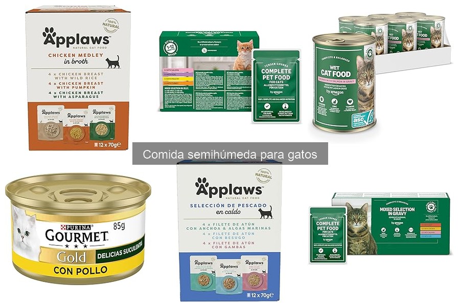 Comparativa: Comida Semihúmeda vs Comida Seca para Gatos