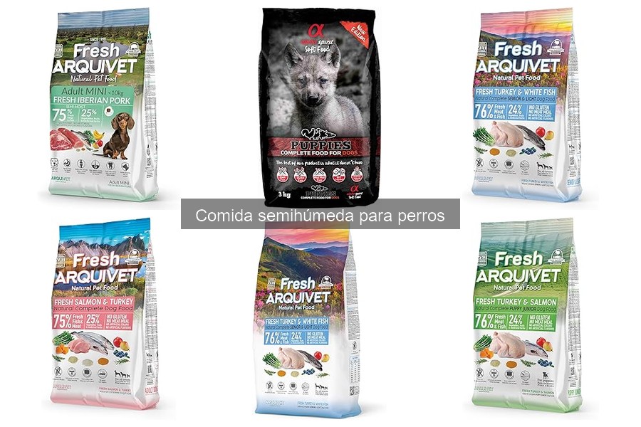 Comparativa: Comida semihúmeda vs. comida seca para perros