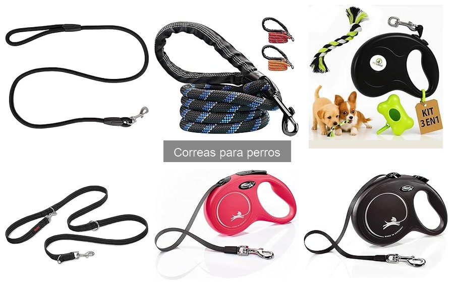 Comparativa: Correas de Cuero vs Nylon para Perros