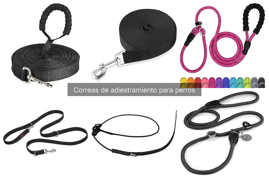 Comparativa: Correas vs Collares de Adiestramiento para Perros