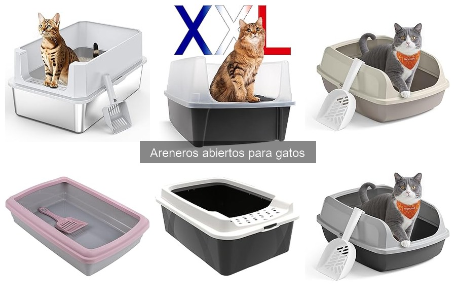 Comparativa de Areneros Abiertos y Cerrados para Gatos