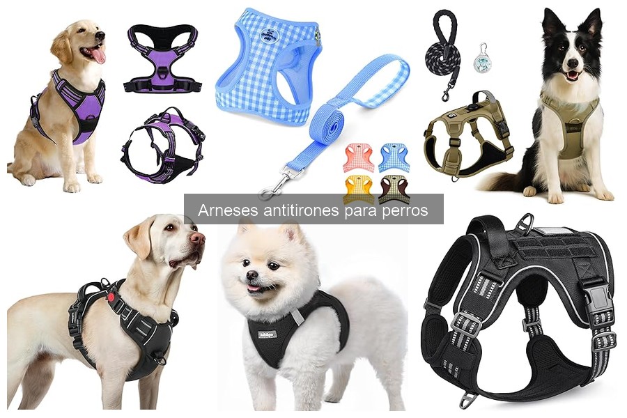 Comparativa de arneses antitirones para perros (2023)
