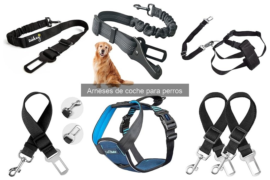 Comparativa de arneses de coche y otros sistemas de seguridad para perros