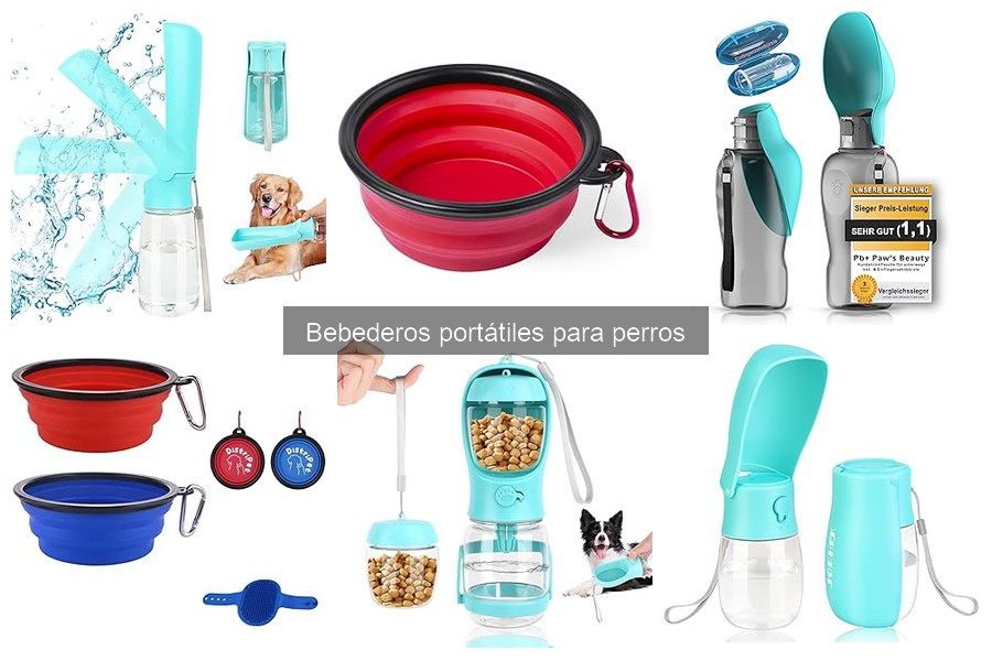 Comparativa de bebederos portátiles para perros: Mejores opciones