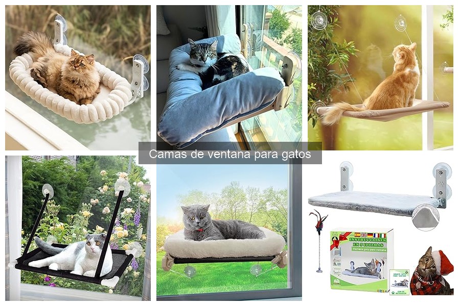 Comparativa de camas de ventana para gatos: mejores opciones