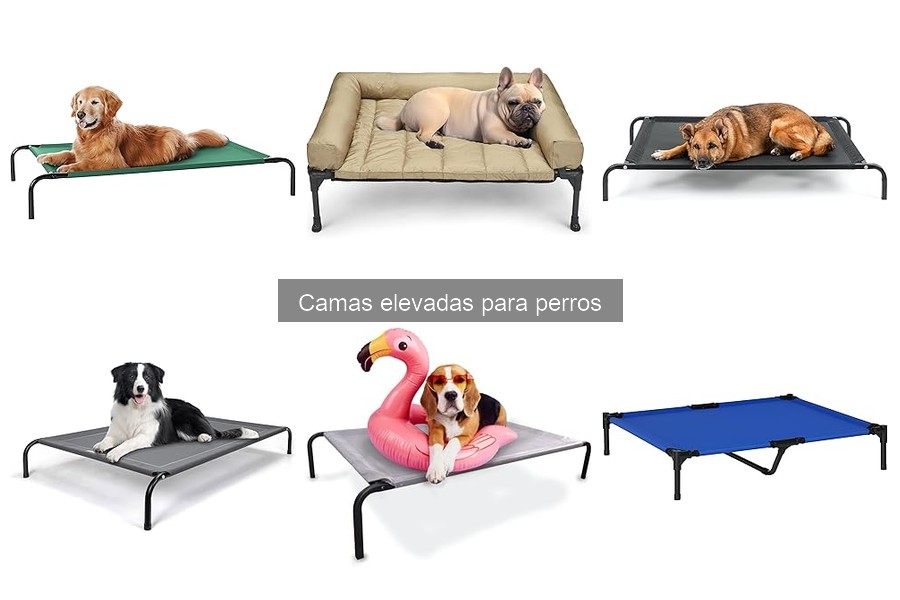 Comparativa de Camas Elevadas para Perros: Mejor Opción