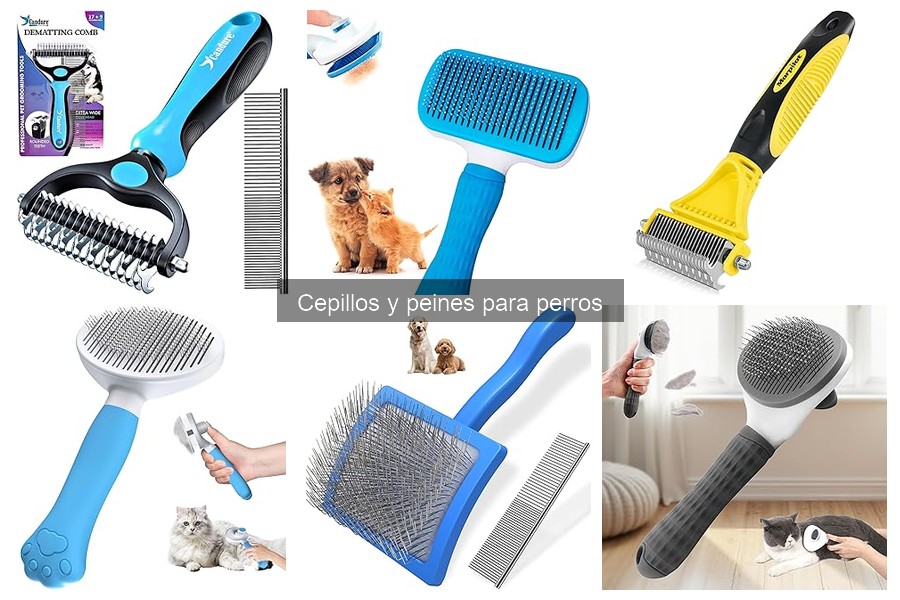 Comparativa de cepillos para perros según su raza