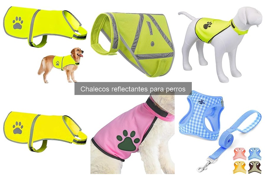 Comparativa de Chalecos Reflectantes para Perros: Mejores Marcas