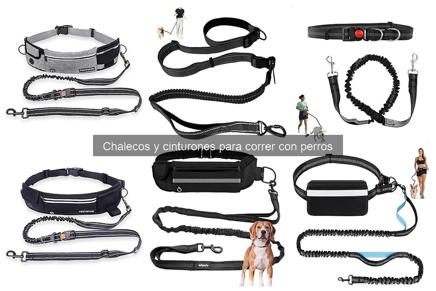 Comparativa de Chalecos y Cinturones para Correr con Perros