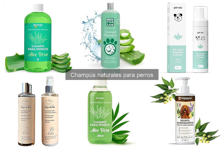Comparativa de Champús Naturales para Perros: Mejores Marcas