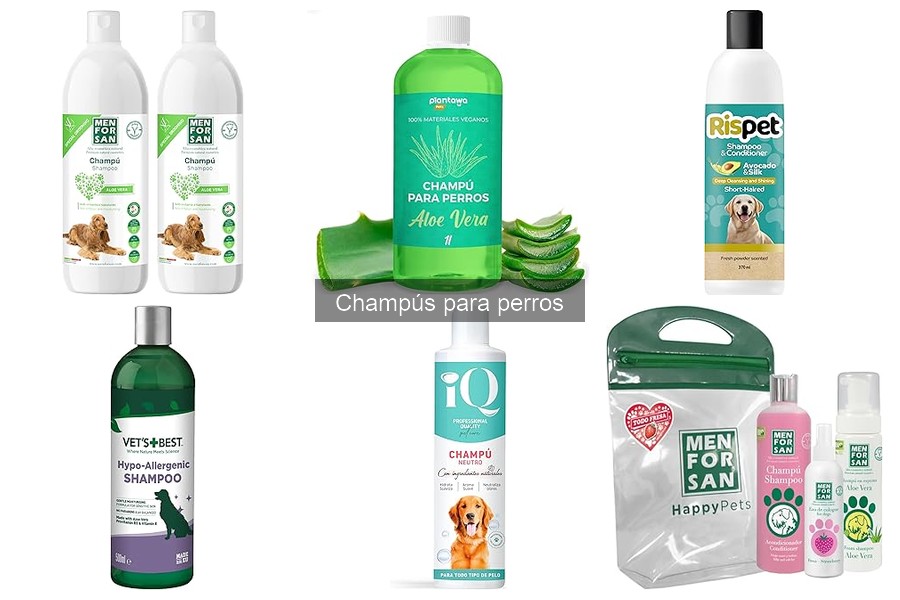 Comparativa de Champús para Perros: ¿Cuál Elegir?