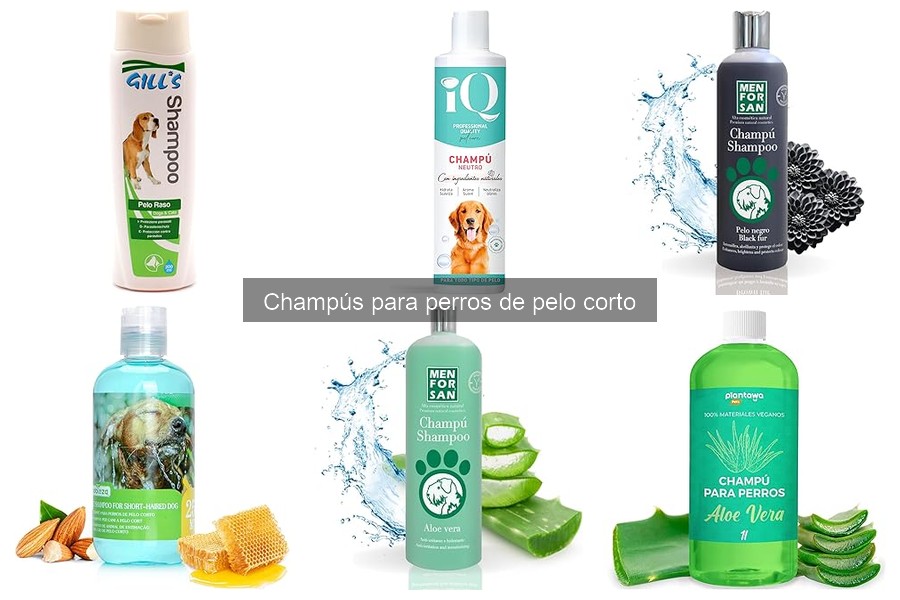 Comparativa de Champús para Perros de Pelo Corto