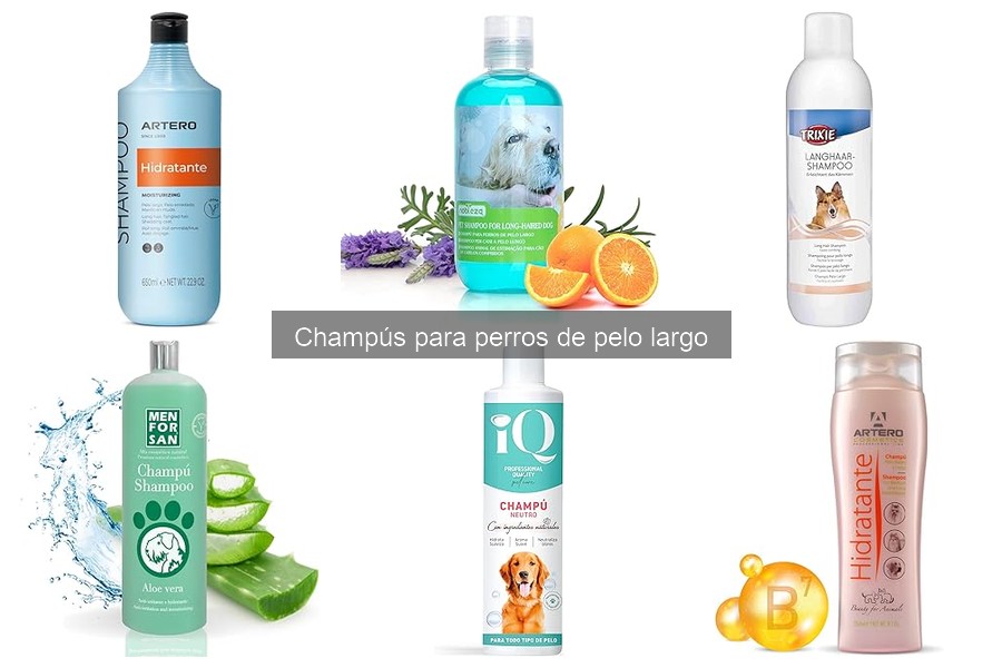 Comparativa de Champús para Perros de Pelo Largo y Corto