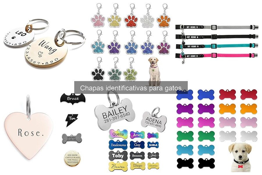 Comparativa de Chapas Identificativas para Gatos: Mejores Marcas