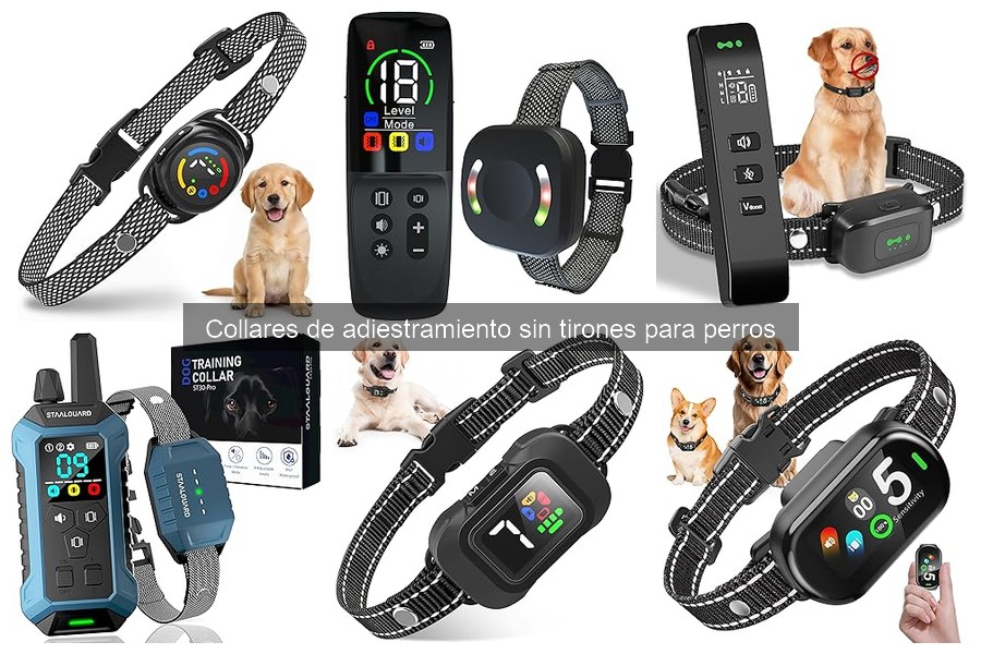 Comparativa de collares de adiestramiento sin tirones para perros