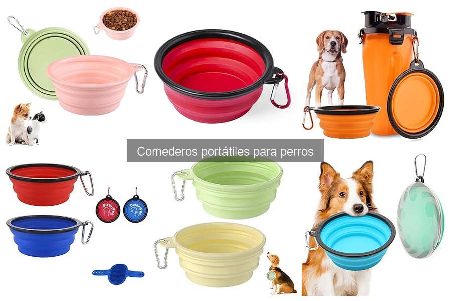 Comparativa de Comederos Portátiles: Plástico, Metal y Silicona