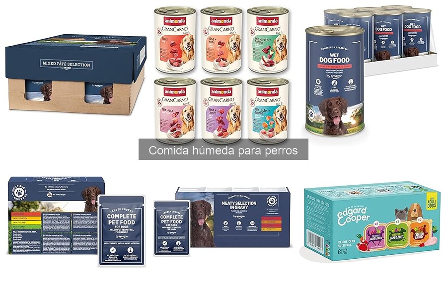 Comparativa de comida húmeda vs comida seca para perros