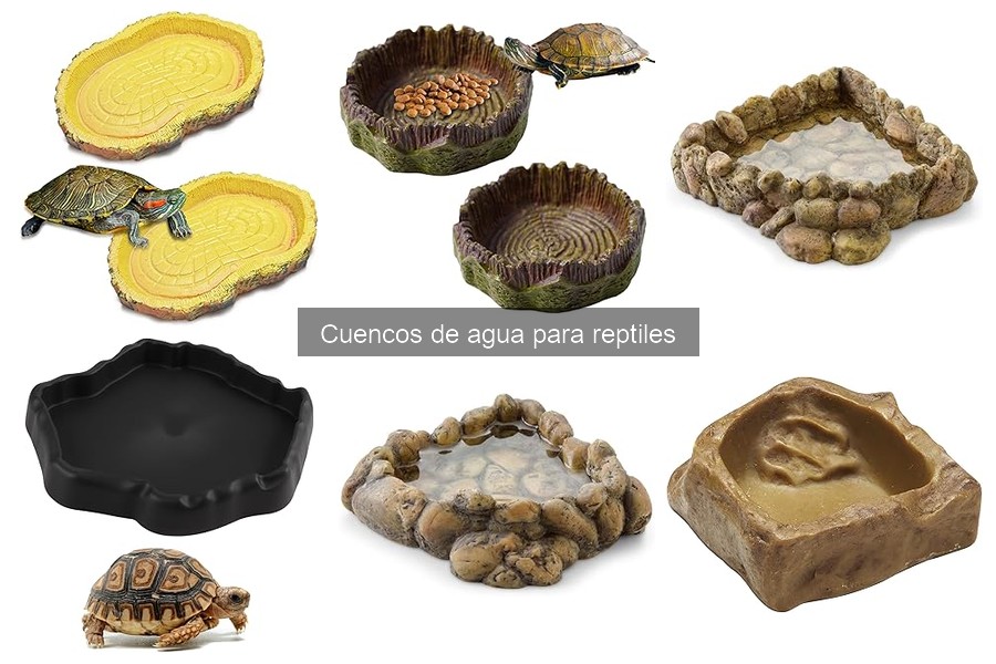 Comparativa de cuencos de agua para reptiles de marcas destacadas