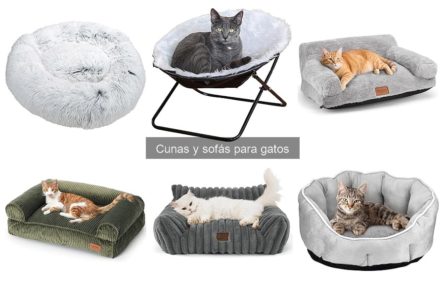 Comparativa de cunas y sofás para gatos: ¿Cuál elegir?