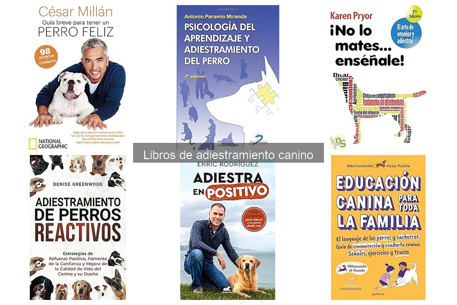 Comparativa de Enfoques en Libros de Adiestramiento Canino