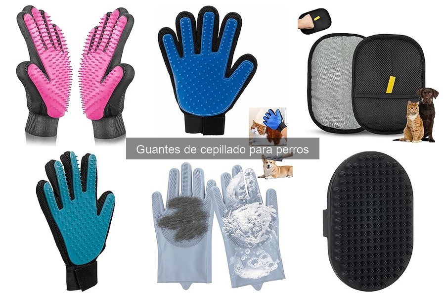 Comparativa de guantes de cepillado para perros: ¡mejores marcas!