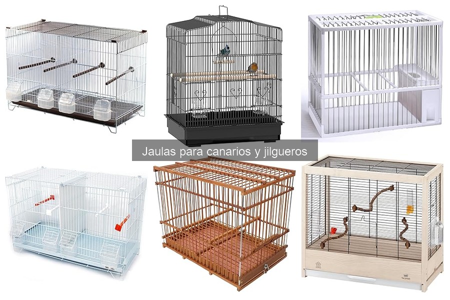 Comparativa de Jaulas para Canarios y Jilgueros: ¿Cuál Elegir?