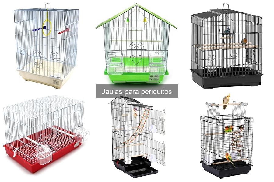 Comparativa de Jaulas para Periquitos y Otras Aves