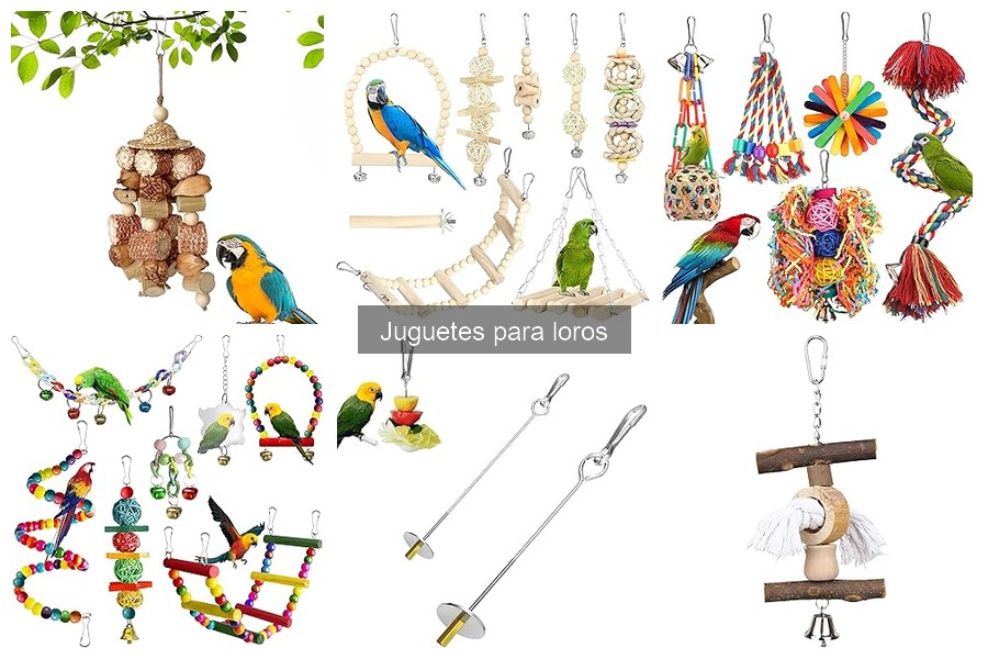 Comparativa de juguetes para loros: plástico, metal y madera