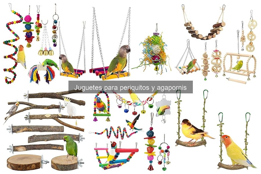 Comparativa de juguetes para periquitos y agapornis