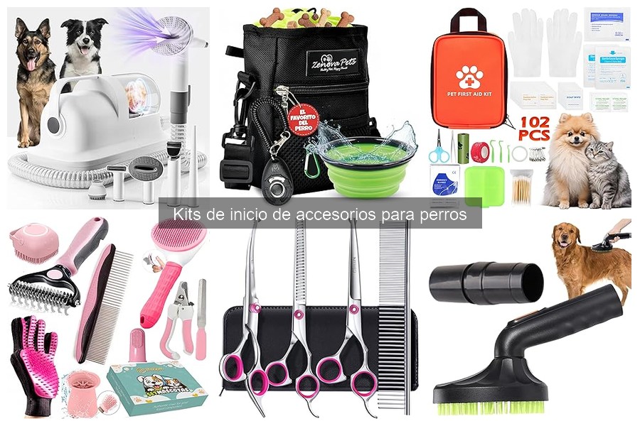 Comparativa de Kits de Inicio para Perros: Mejores Opciones