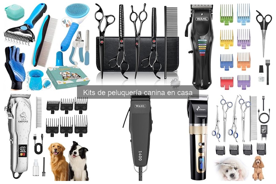 Comparativa de Kits de Peluquería Canina: Calidad y Precio