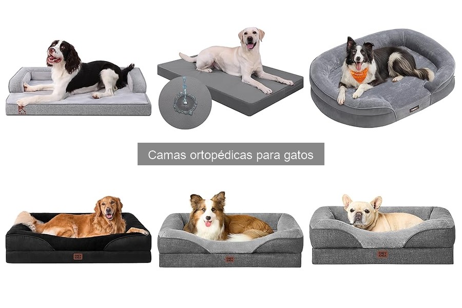 Comparativa de las Mejores Camas Ortopédicas para Gatos