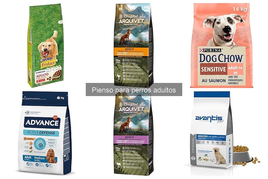 Comparativa de los Mejores Piensos Secos para Perros Adultos
