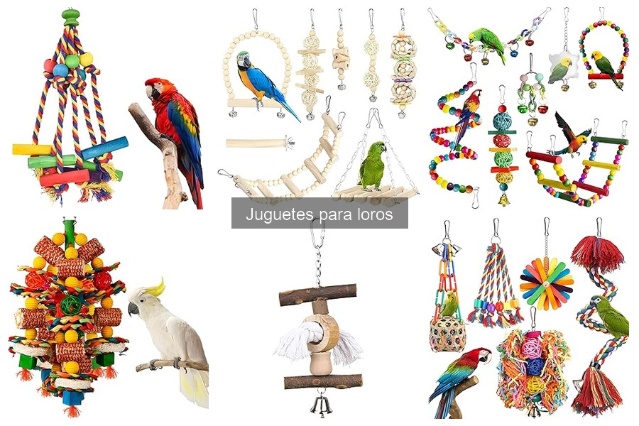 Comparativa de marcas de juguetes para loros
