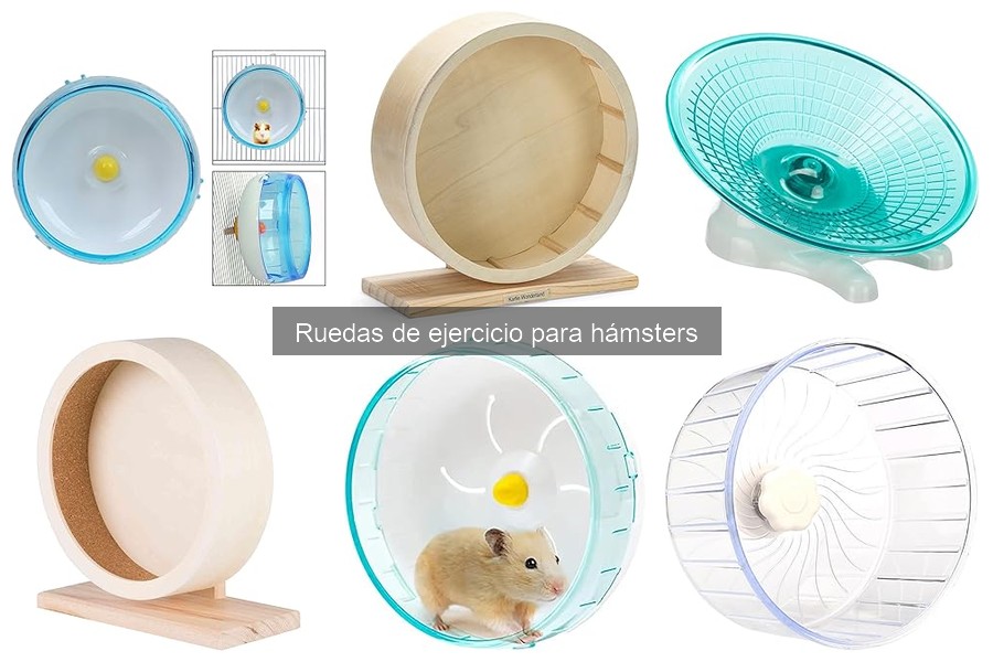 Comparativa de marcas de ruedas de ejercicio para hámsters