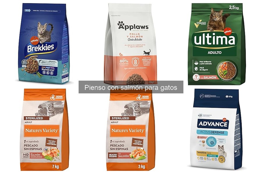 Comparativa de Piensos de Salmón para Gatos: Mejores Marcas