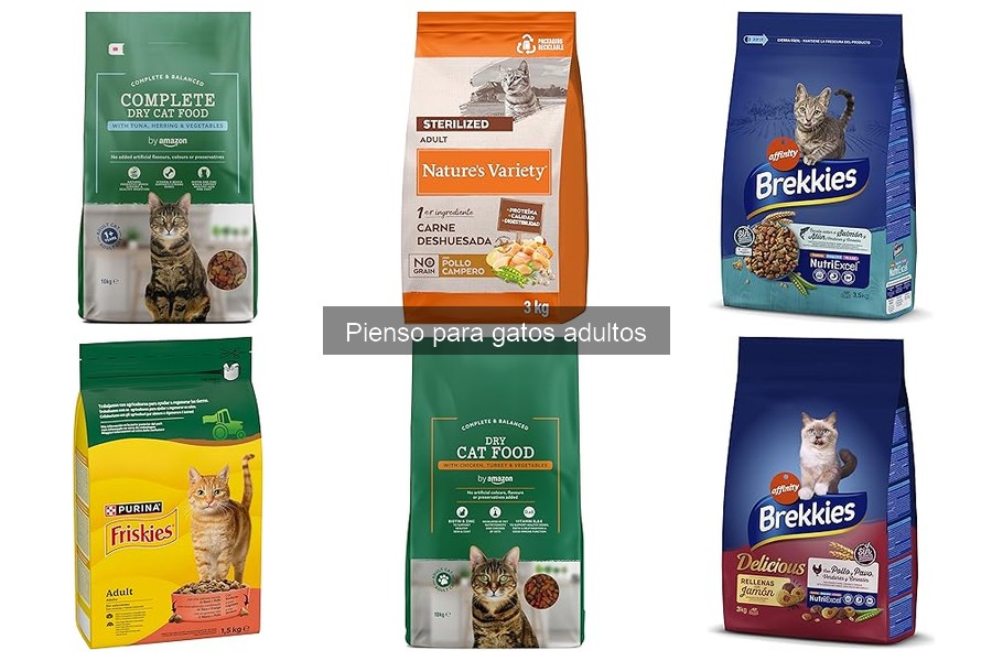 Comparativa de Piensos Húmedos y Secos para Gatos Adultos