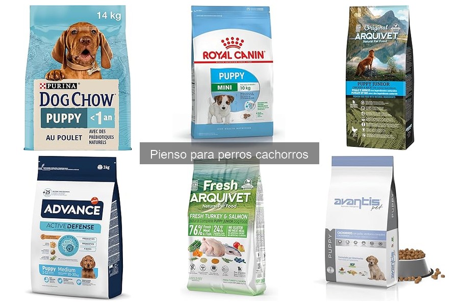 Comparativa de Piensos para Cachorros: Advance, Royal Canin, Arquivet