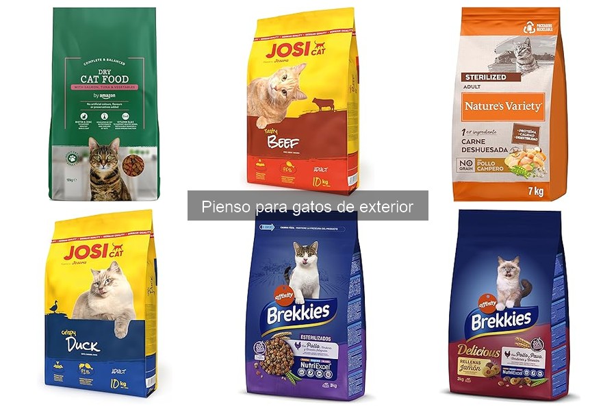 Comparativa de Piensos para Gatos de Exterior: Mejores Marcas