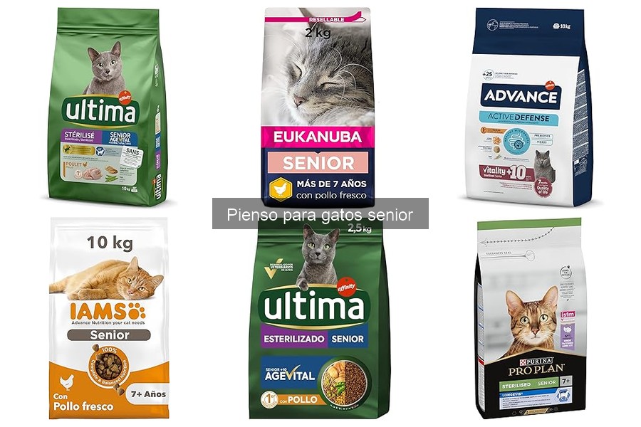 Comparativa de Piensos para Gatos Senior: Mejores Marcas