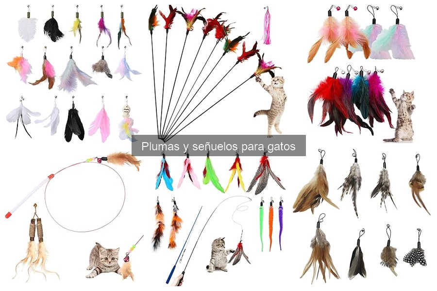 Comparativa de Plumas y Señuelos para Gatos: Mejores Opciones