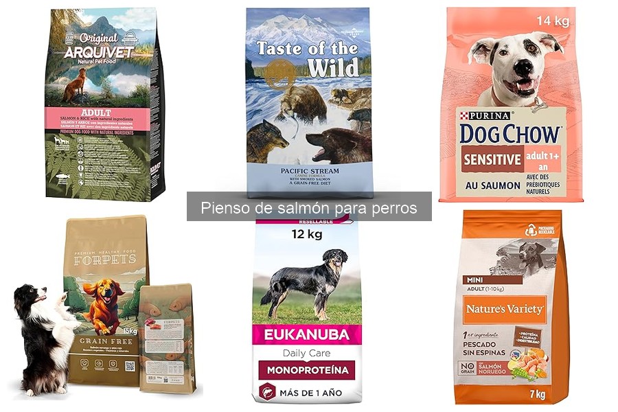 Comparativa de precio: Pienso de salmón para perros